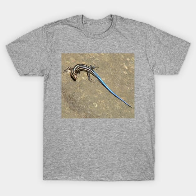 Blue Tailed Lizard 2 T-Shirt by JeanGregoryEvans1